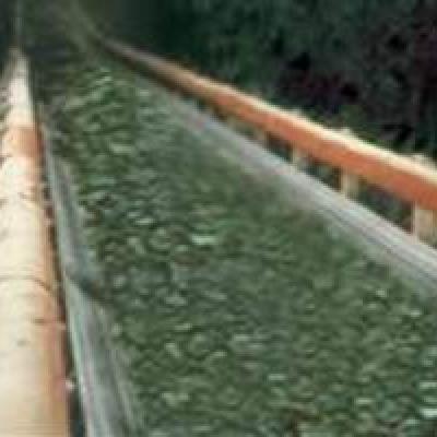 Rubber-faced flame-retardant conveyor belt PVG